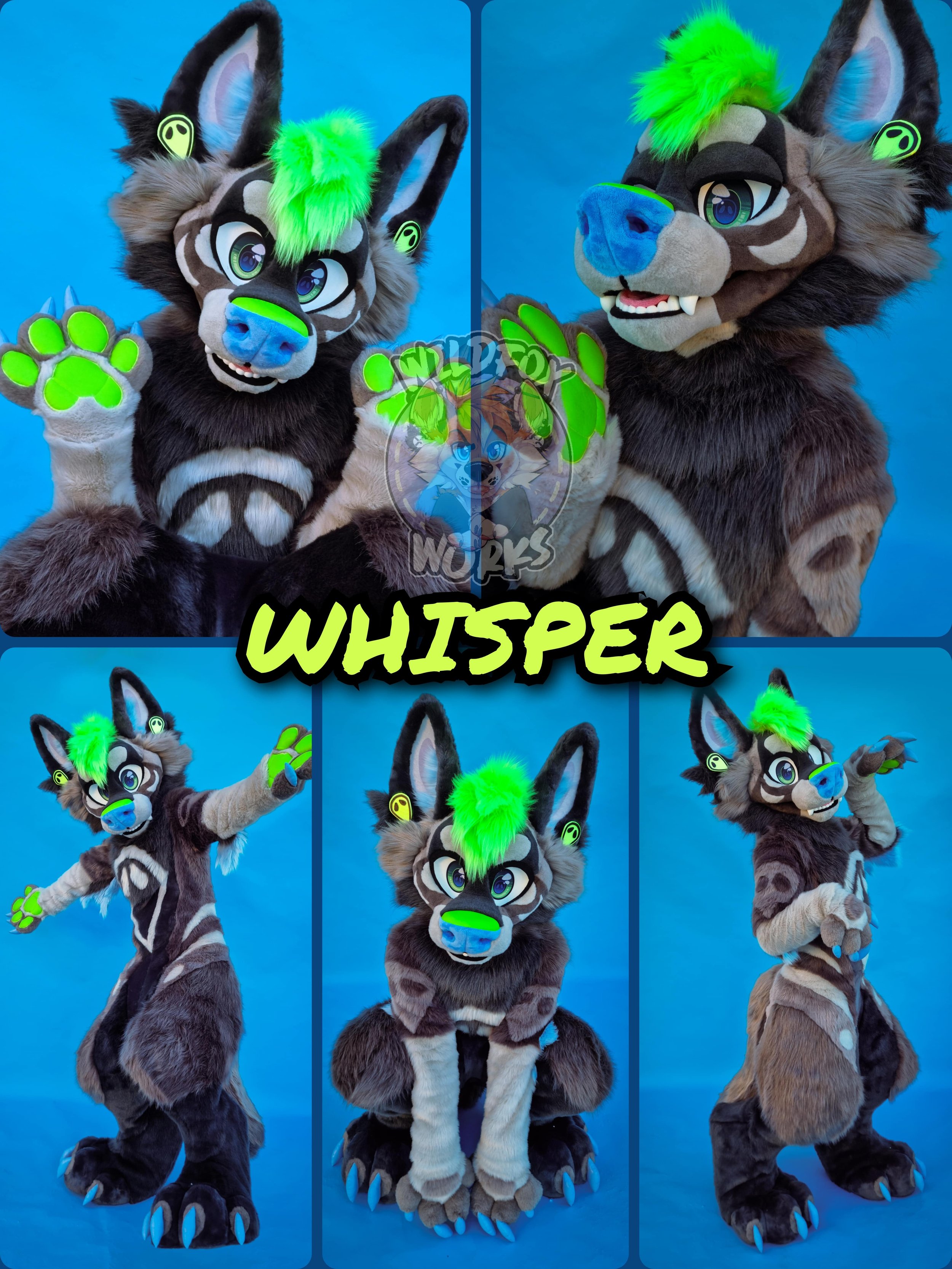 WHISPER - 2024