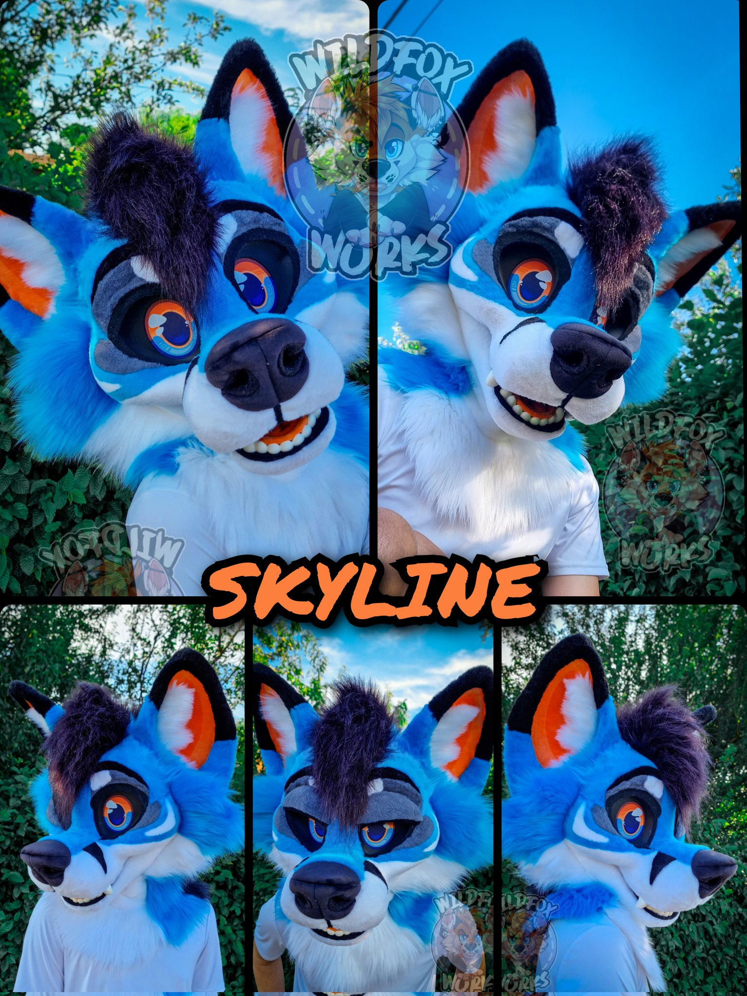 SKYLINE - 2024