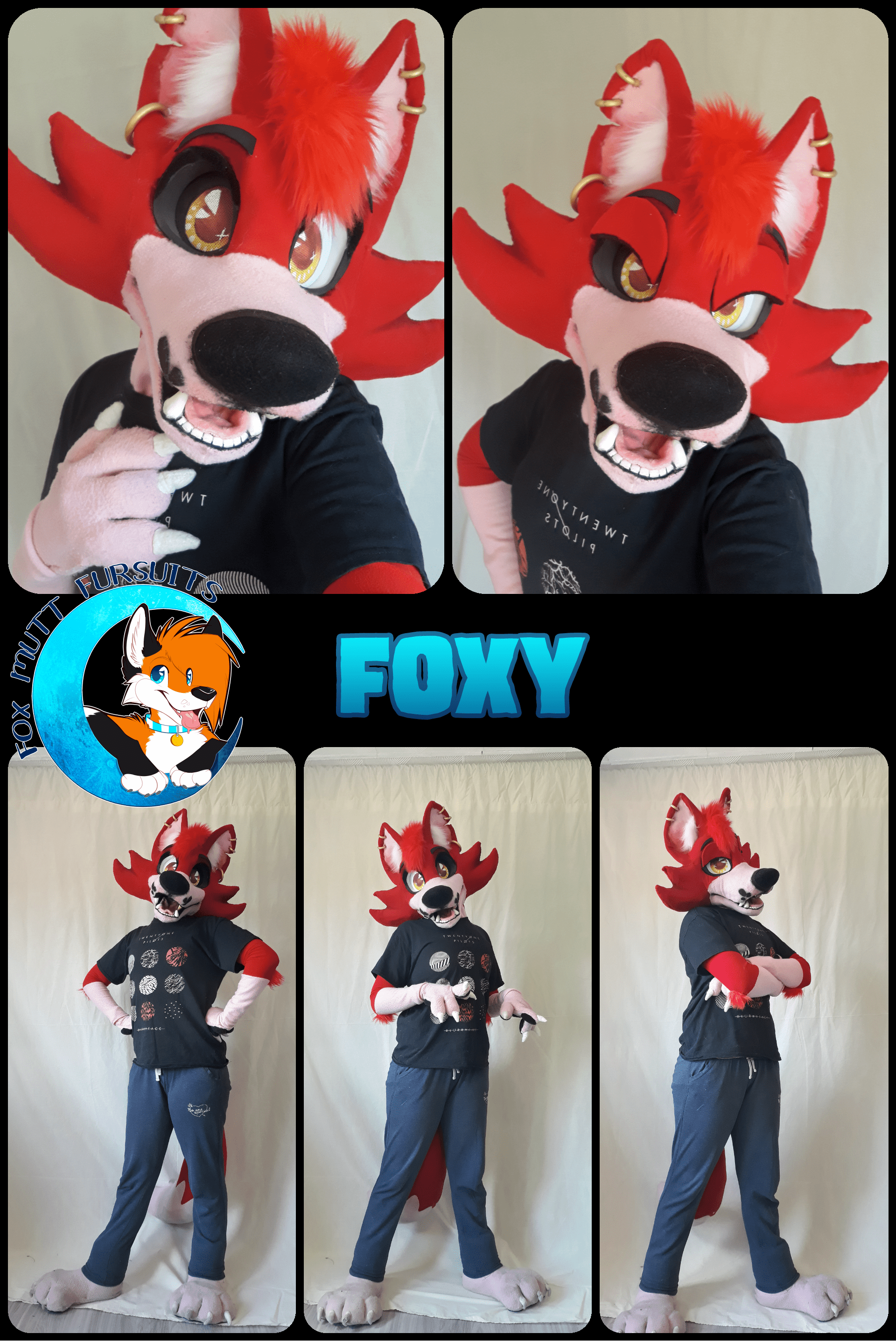 FOXY - 2018