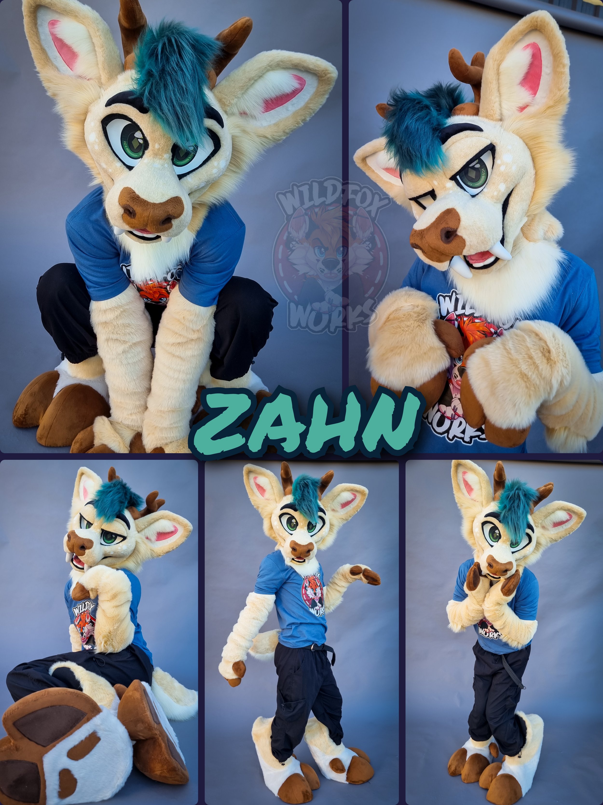 ZAHN - 2025